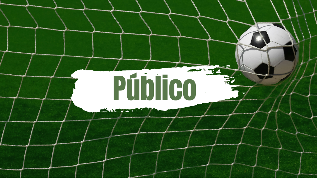 Botafogo 1 x 2 Bahia: Público e Renda